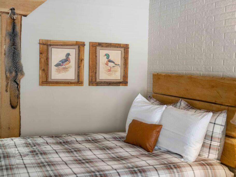 Stonegate Lodge 2 Queen Beds Fast Wifi 50In Tv Salt Water Pool Room # 305 Юрика-Спрінгс Екстер'єр фото